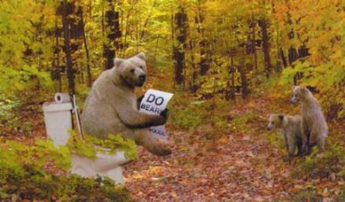 bearpoop.jpg