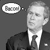 bushbacon.jpg